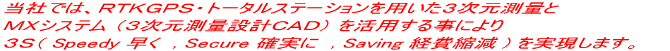 ؑʐ݌vł́AqsjforEg[^Xe[VpRʂsA Rri Speedy @, Secure mɁ@, Saving ok ) Ă܂B 